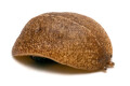 Veronicella cubensis Hawaii juvenil